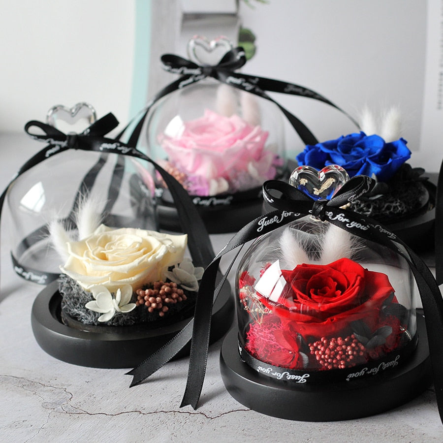 Valentine's Day Gift - Preserved Rose Flower